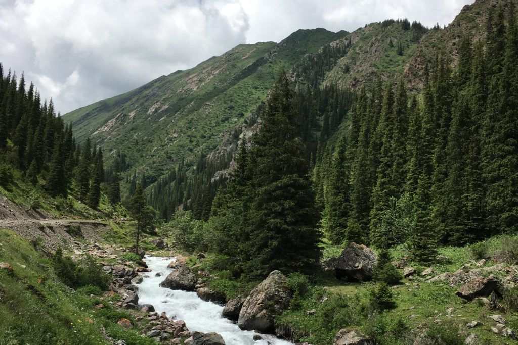 the nature in kyrgyzstan, the river view