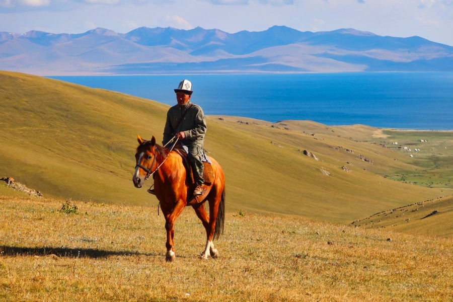 kyrgyz man is driving the horse in song kul lake, kyrgyzstan