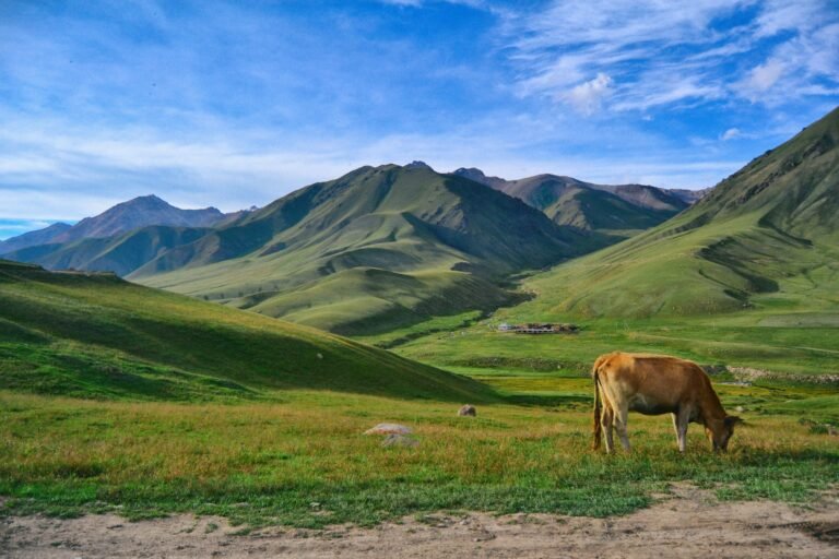 kyrgyzstan