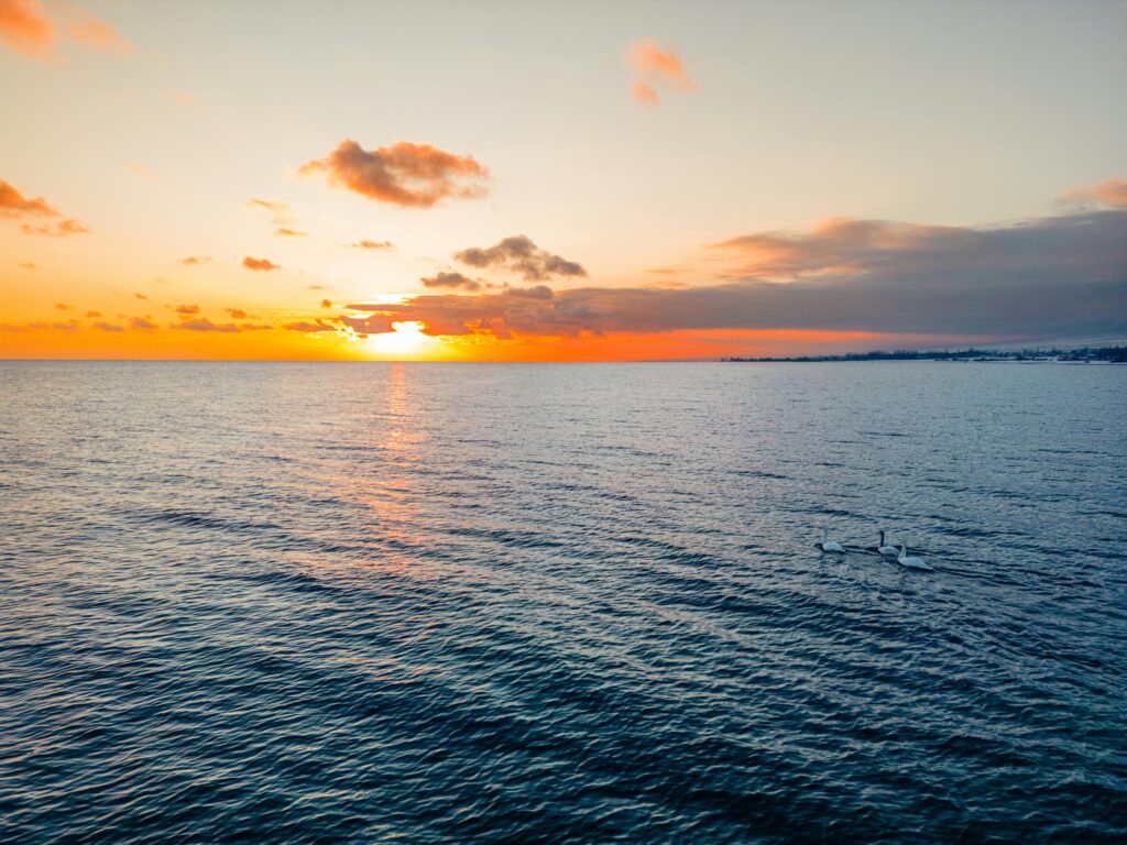 Breathtaking sunset over Issyk-Kul Lake with swans gliding through calm waters in Cholpon Ata, Kyrgyzstan.