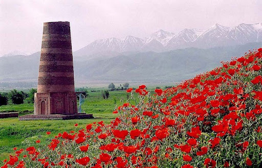 burana and flowers