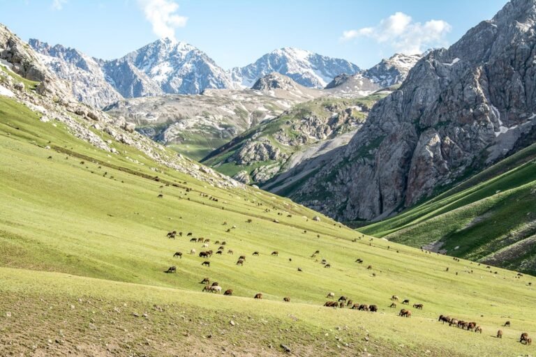 Arslanbob, Osh