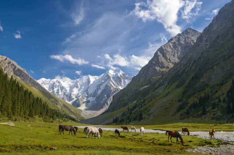 Altyn-Arashan Canyon, voyage de france, Kirghizistan