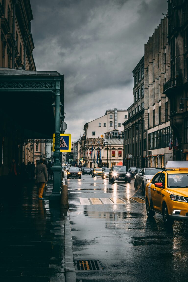 the moscow view