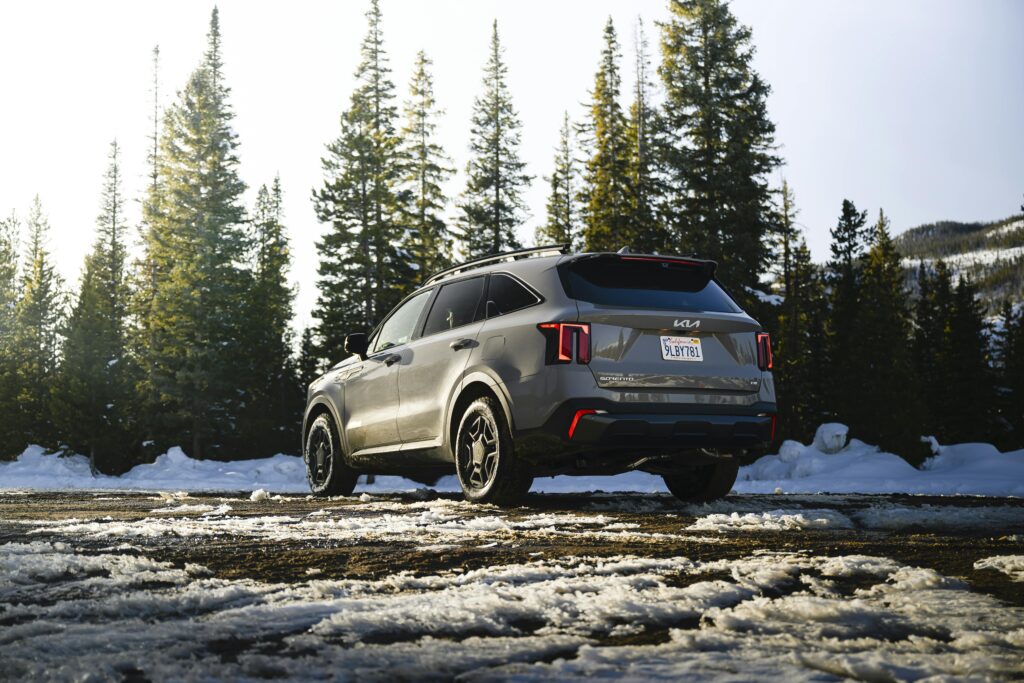 The left rear view of the Kia Sorento parked facing a tree.