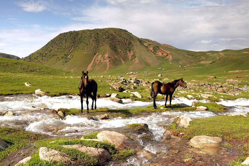 chukurchak