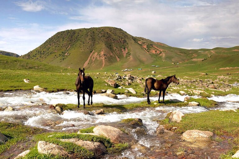 chukurchak