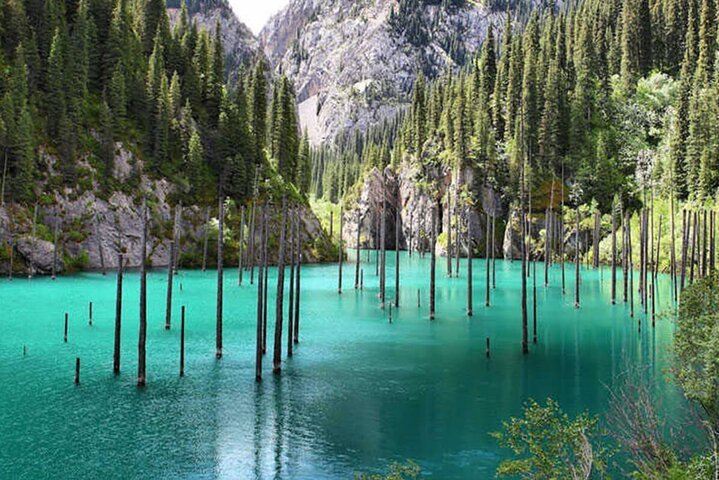 Kaindy Lake The Mysterious Sunken Forest Of Kazakhstan DocTour Kyrgyz Kaindy Lake The Mysterious Sunken Forest Of Kazakhstan DocTour Kyrgyz
