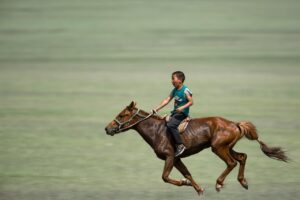boy, horse riding, galloping, horse, grassland, sports, riding rider, nature, animal, mammalian, naadam, mongolia