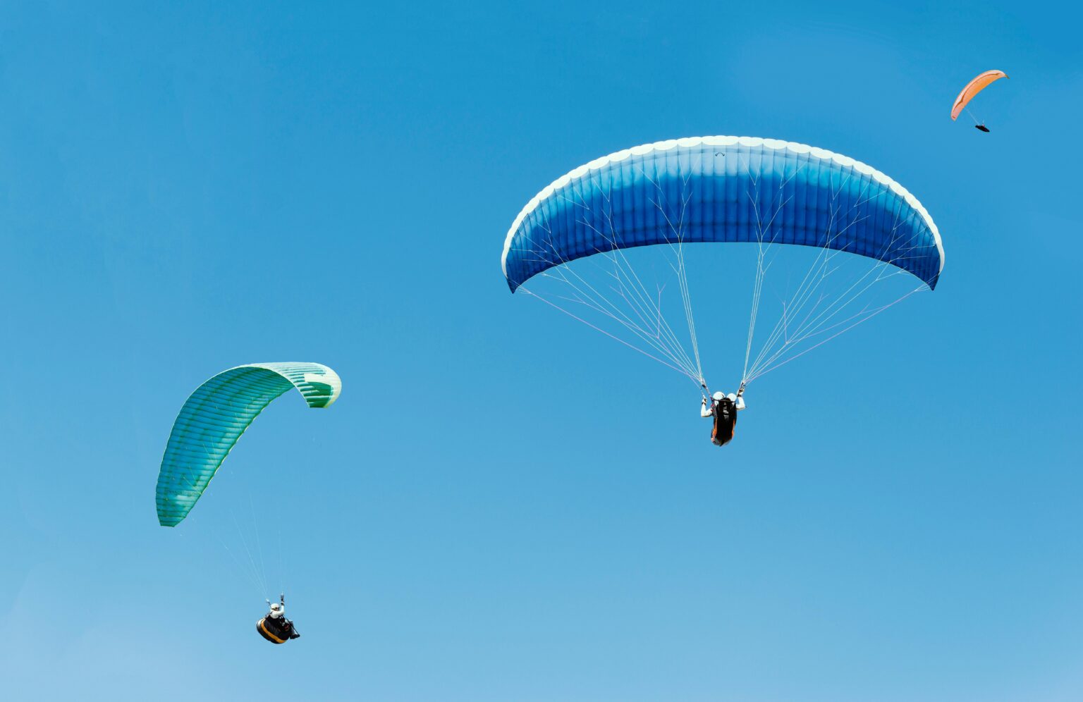 Three paragliders soaring gracefully under a clear blue sky, capturing the essence of adventure.