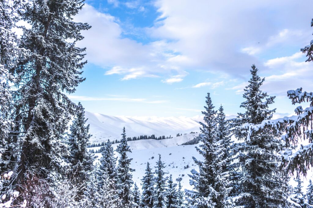 Explore the serene snowy mountains and frosty trees of Karakol, Kyrgyzstan, capturing nature's winter beauty.