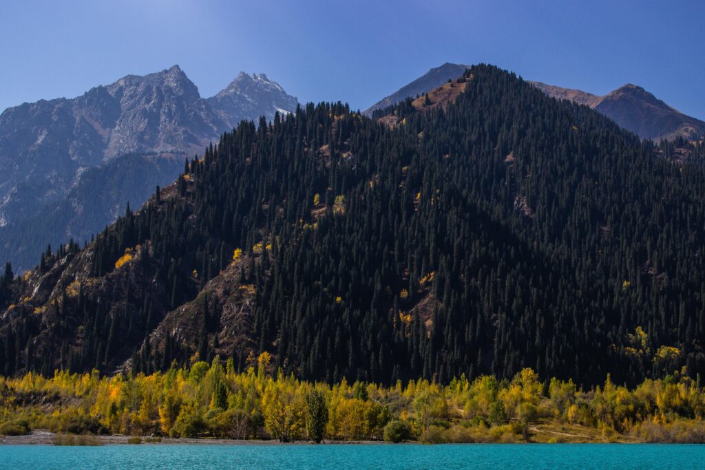 A beautiful view of a mountain lake surrounded by coniferous forests and dramatic peaks.
