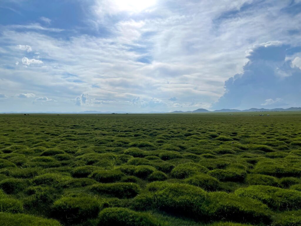 Expansive green landscape of Mongolia with a vast sky and rolling grassy hills under sunlight.