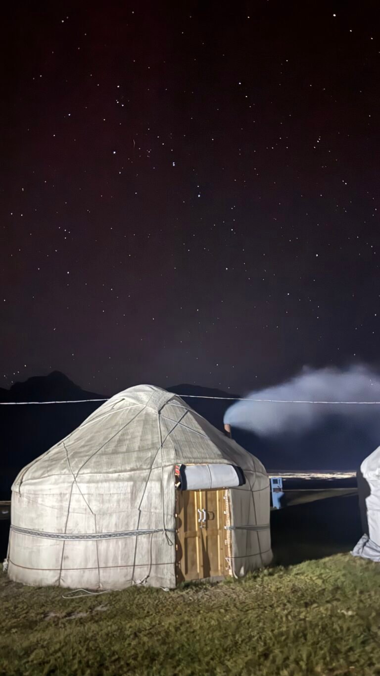 kel suu at night