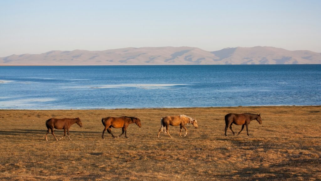 song kul lake trip