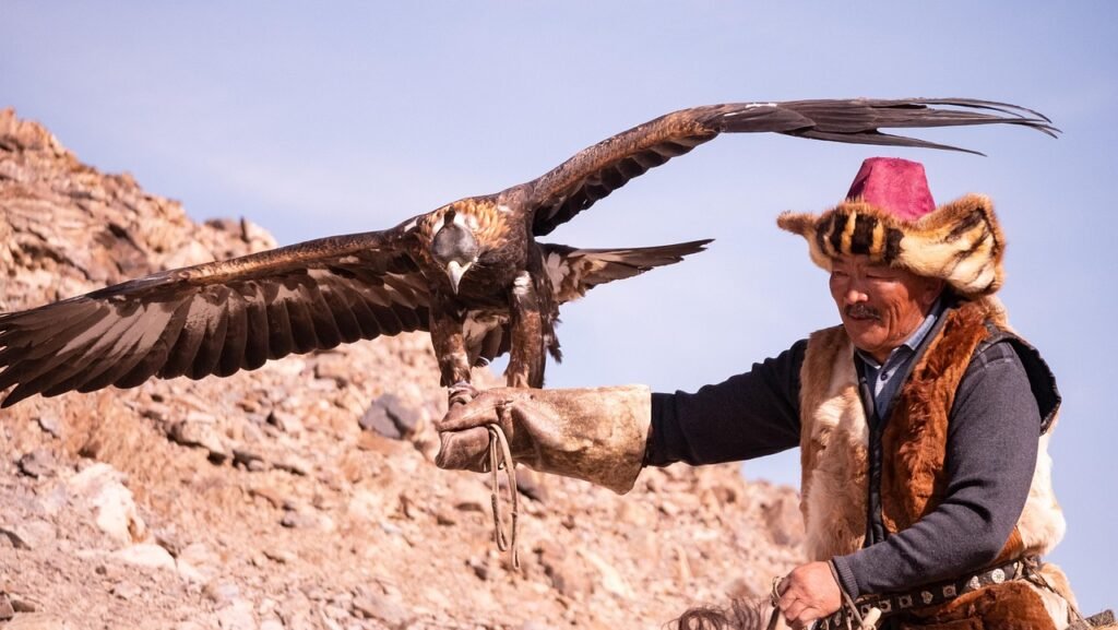 mongolia, eagle hunter, eagle, tradition, nature, to hunt, bird, headdress